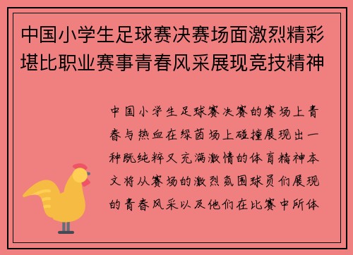 中国小学生足球赛决赛场面激烈精彩堪比职业赛事青春风采展现竞技精神