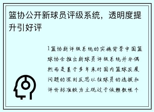 篮协公开新球员评级系统，透明度提升引好评